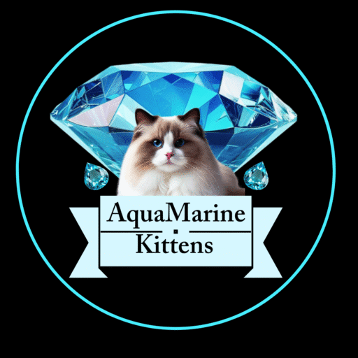 AquaMarine Kittens logo