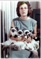 Ann Baker with seal mitted and seal pointed Ragdoll kittens — Ragdoll cat origin