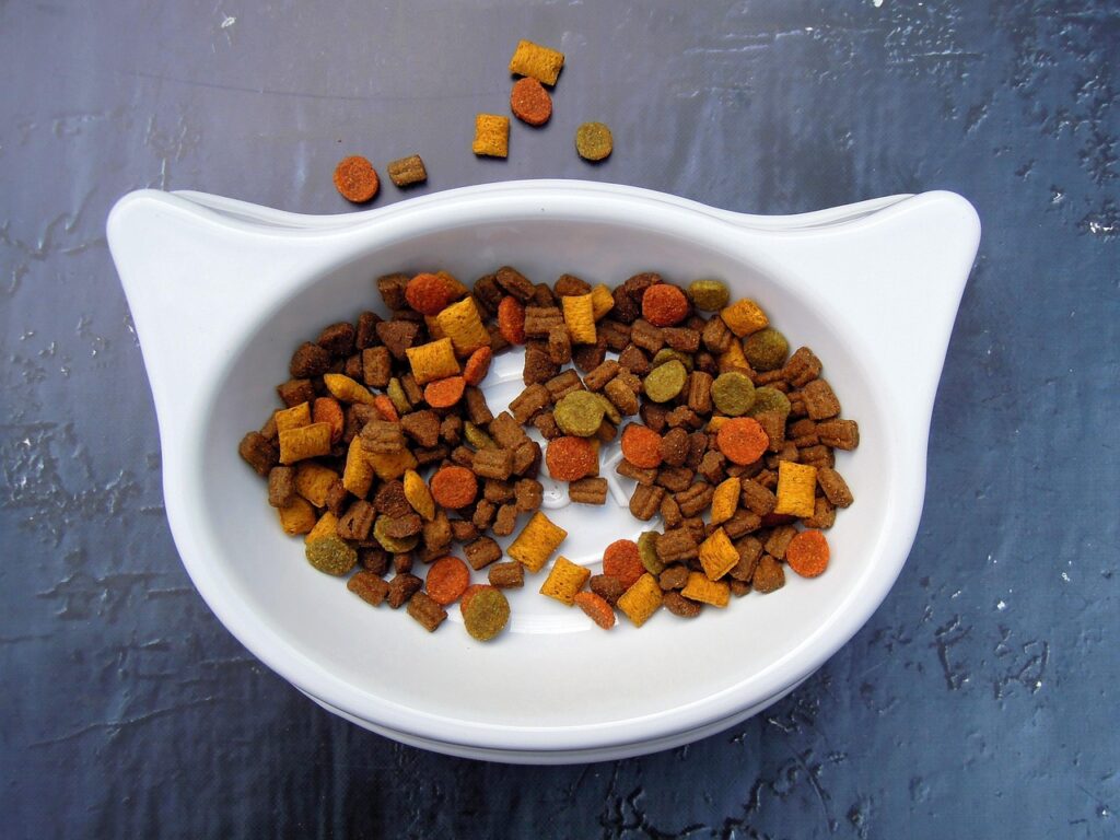 healthiest dry cat food