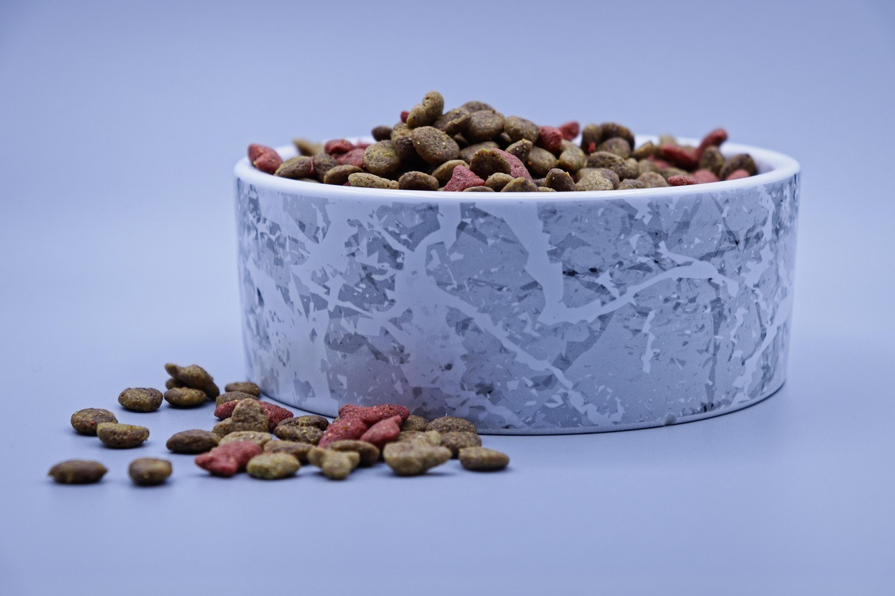 Is Dry Cat Food Bad